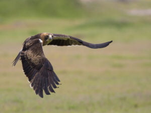 Casa rural en Montánchez
